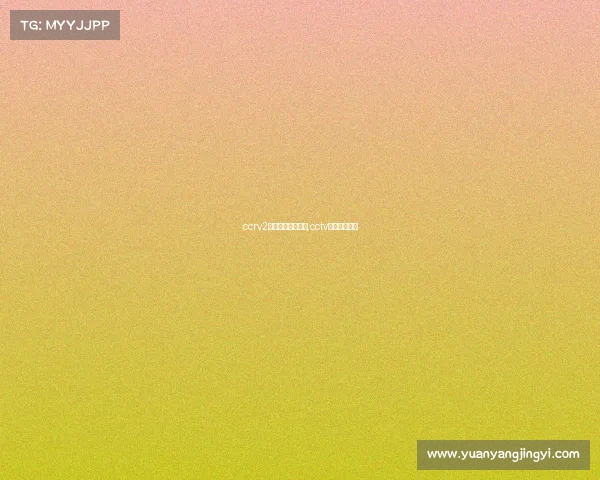 ccrv2有关电子竞技那期,cctv电子竞技频道