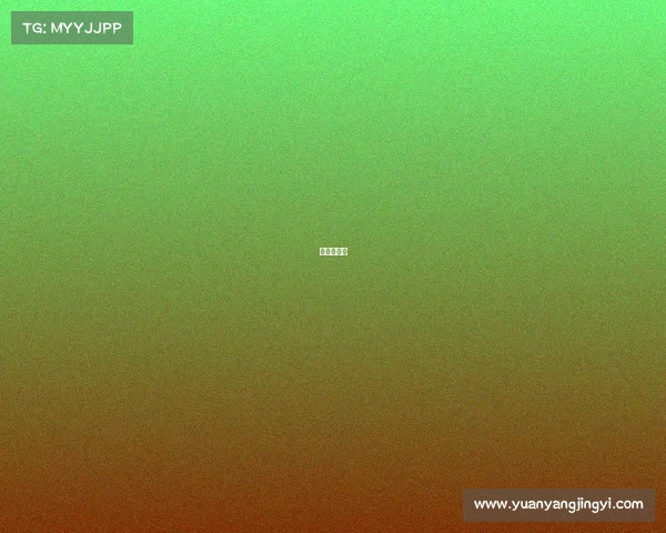 虎头电竞馆 虎头电竞馆